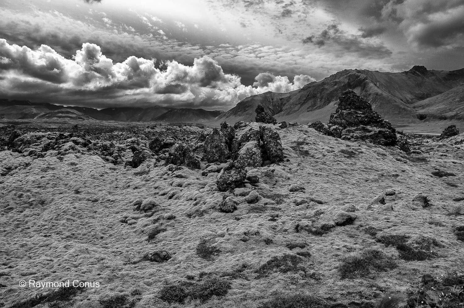 Paysages islandais (53)