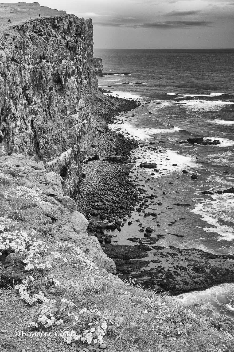 Paysages islandais (54)