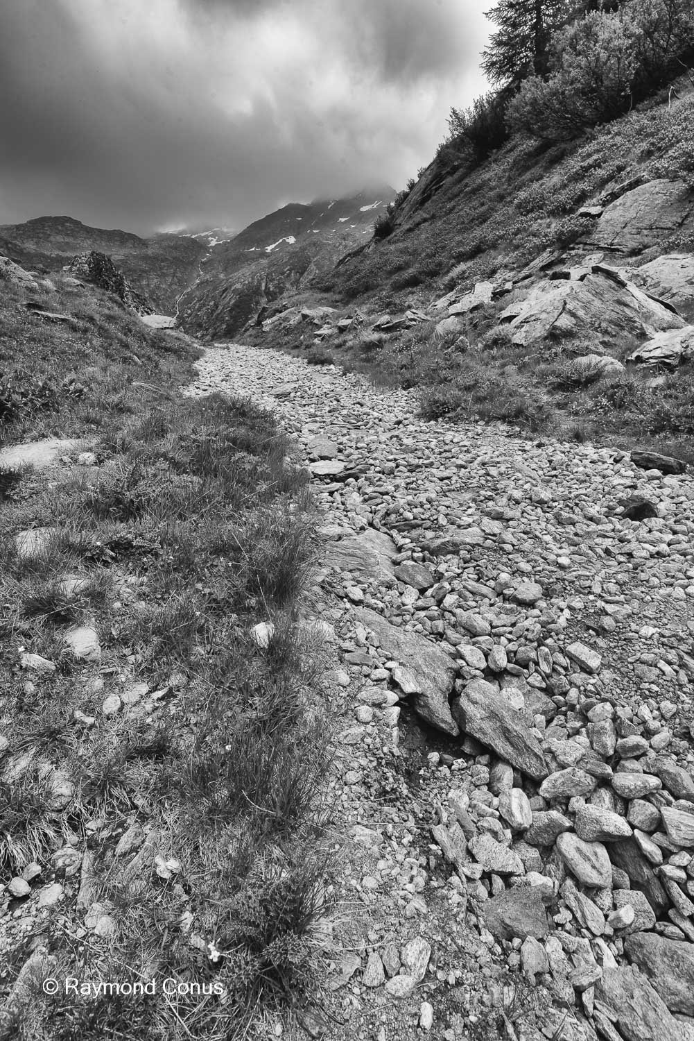 Paysages suisses (144)