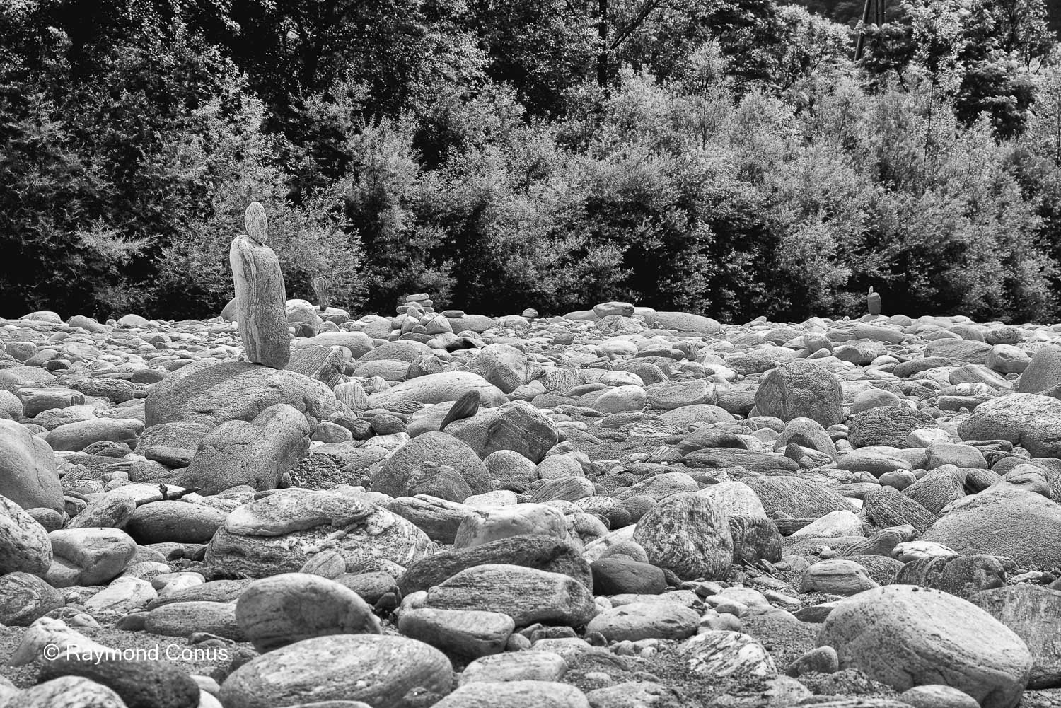 Paysages suisses (145)