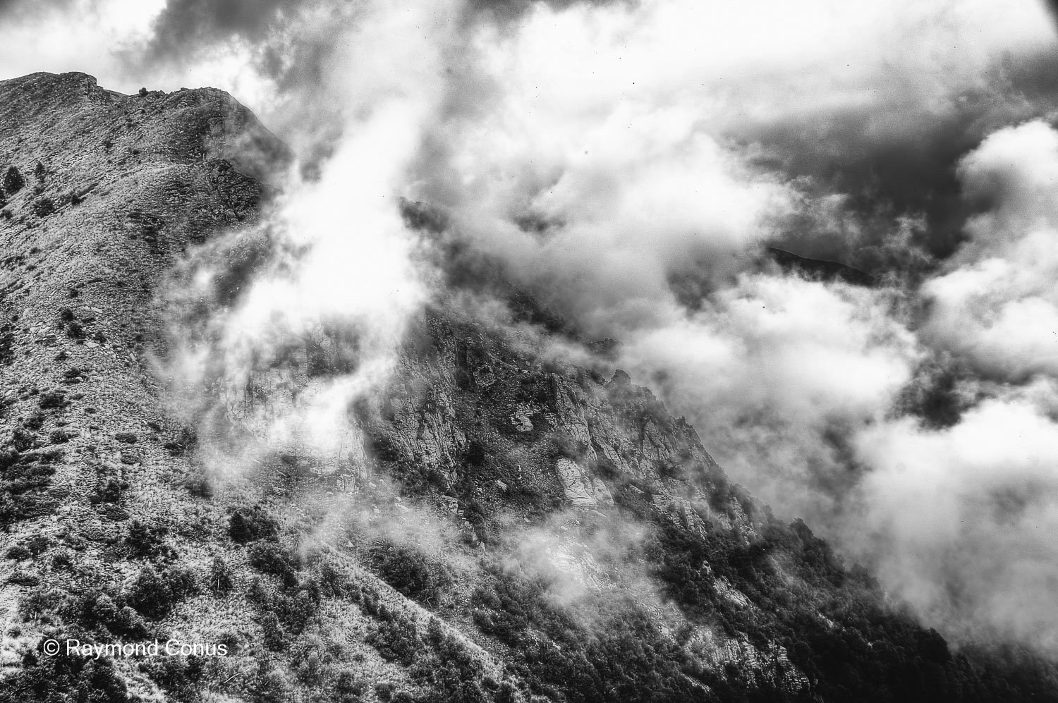 Paysages suisses (157)