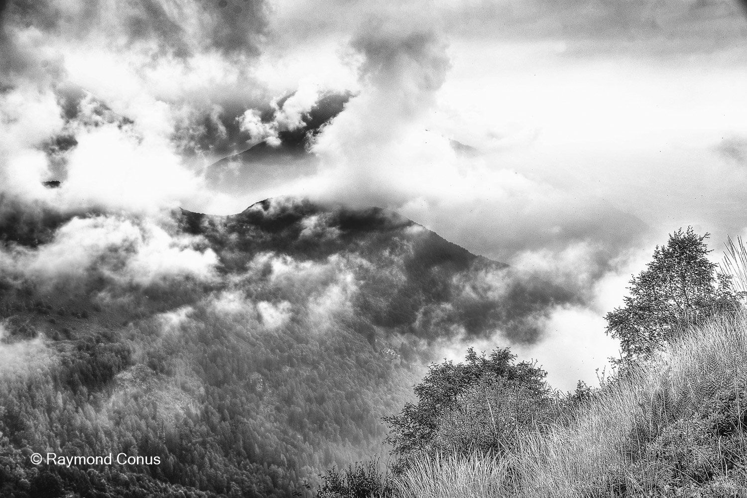 Paysages suisses (159)