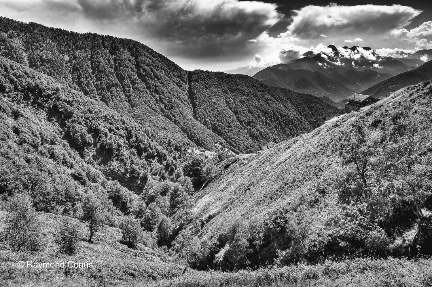 Paysages suisses (163)