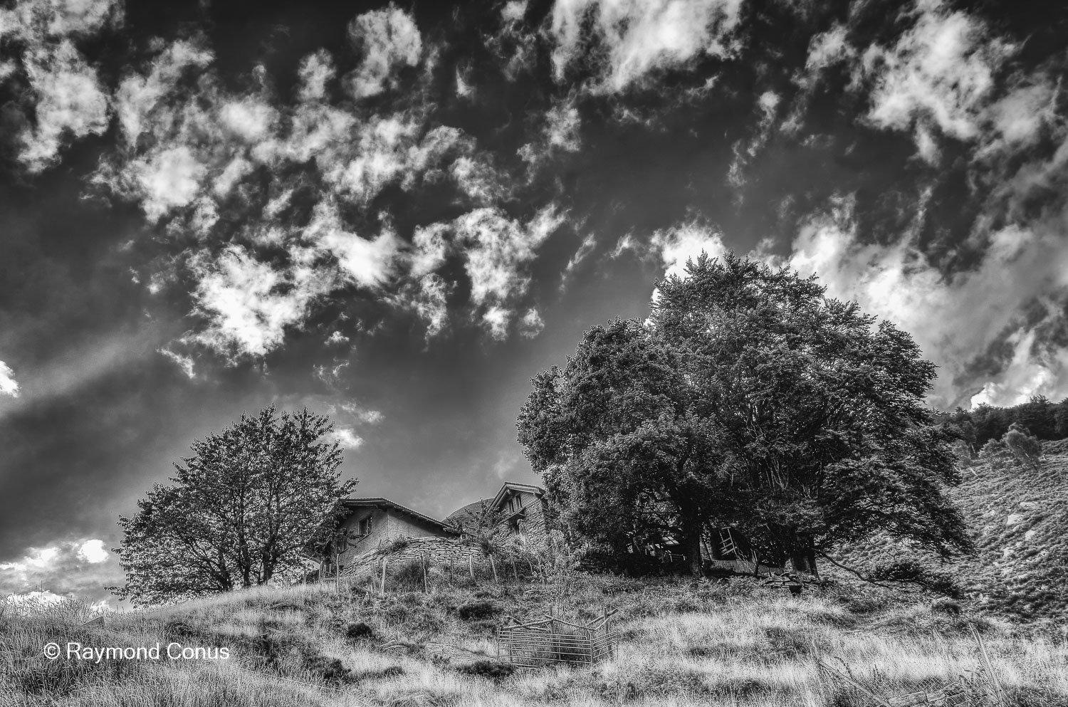 Paysages suisses (164)