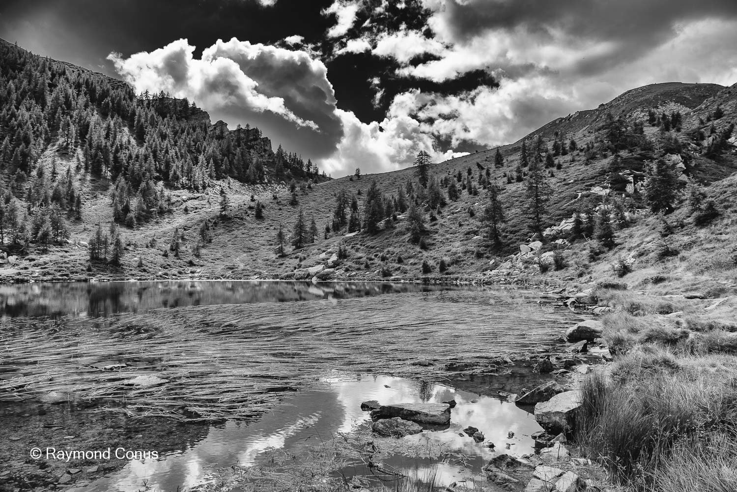 Paysages suisses (184)