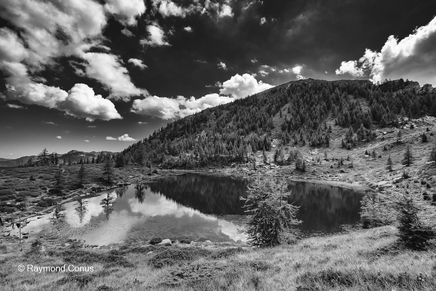 Paysages suisses (187)