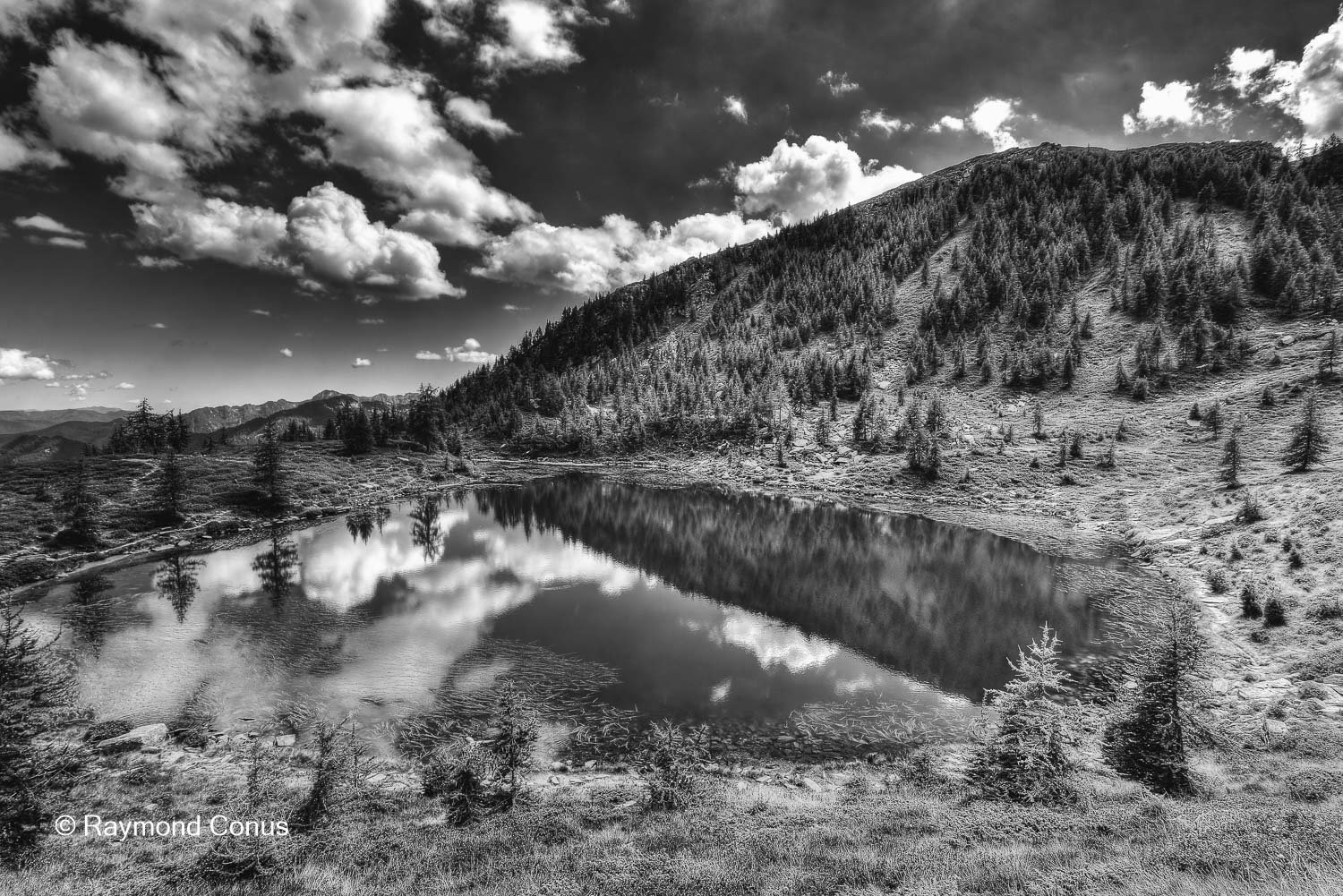 Paysages suisses (188)