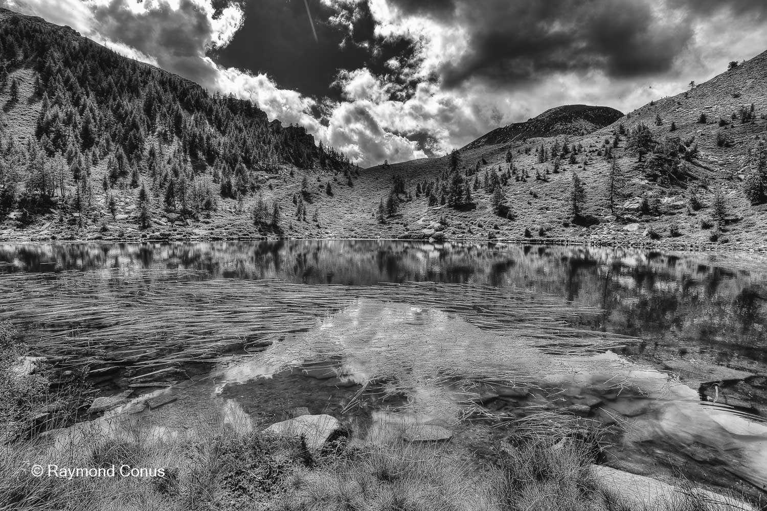 Paysages suisses (190)