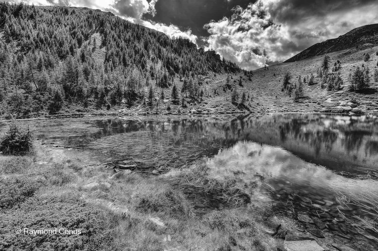 Paysages suisses (191)