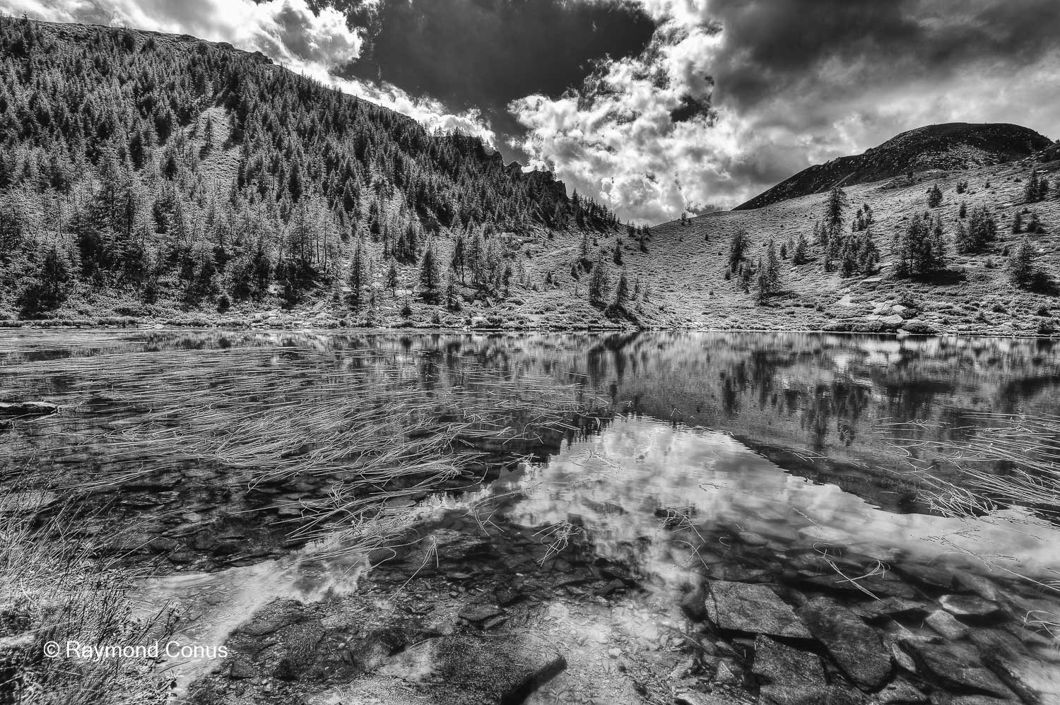 Paysages suisses (193)