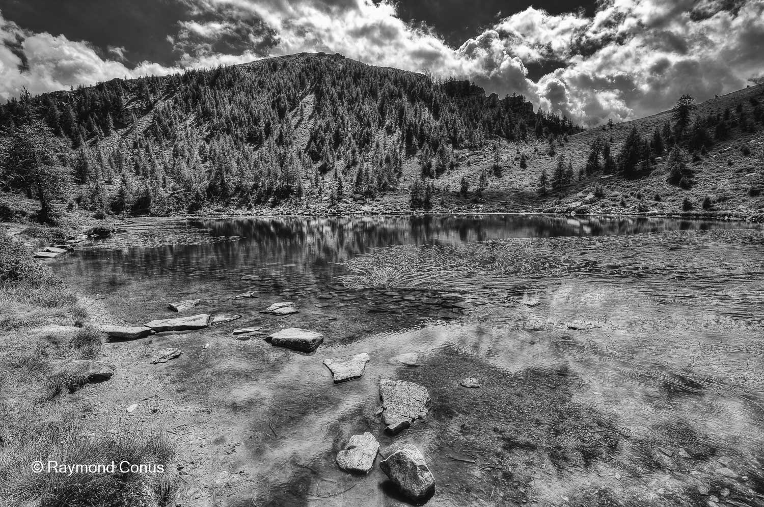 Paysages suisses (195)