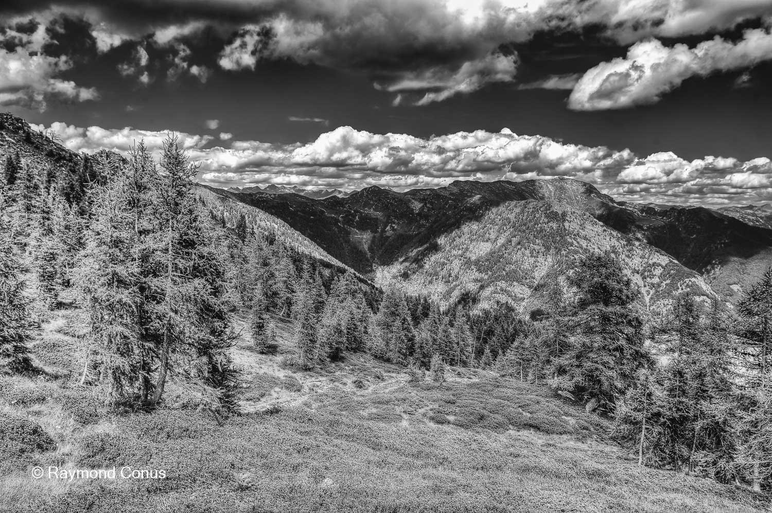 Paysages suisses (198)