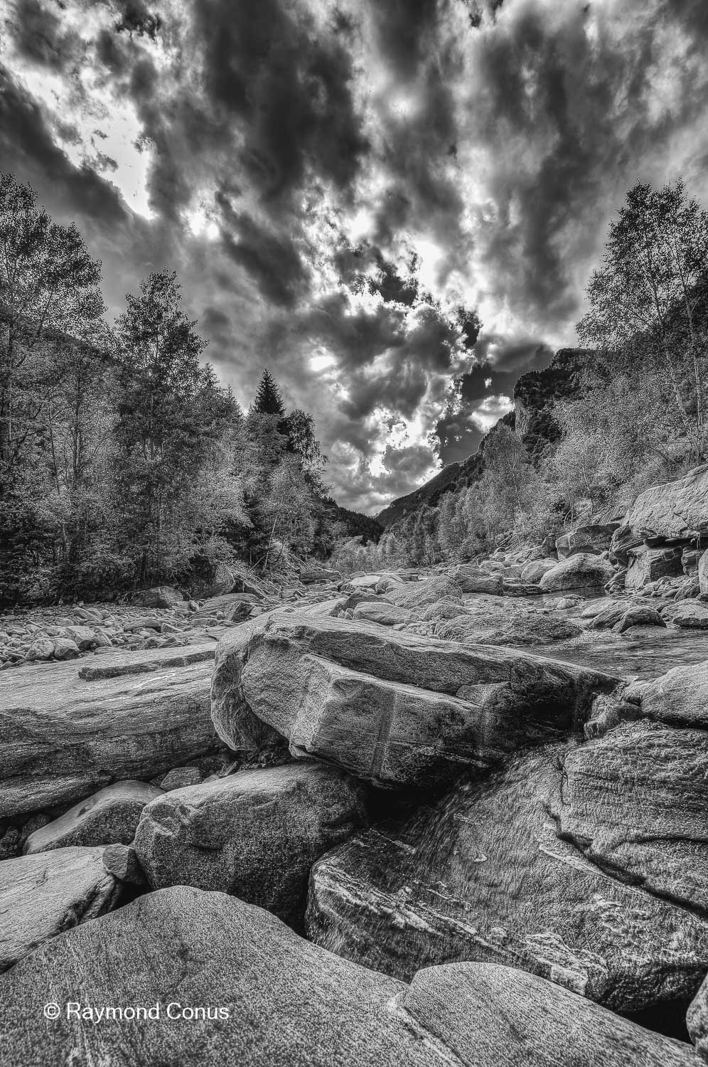 Paysages suisses (199)