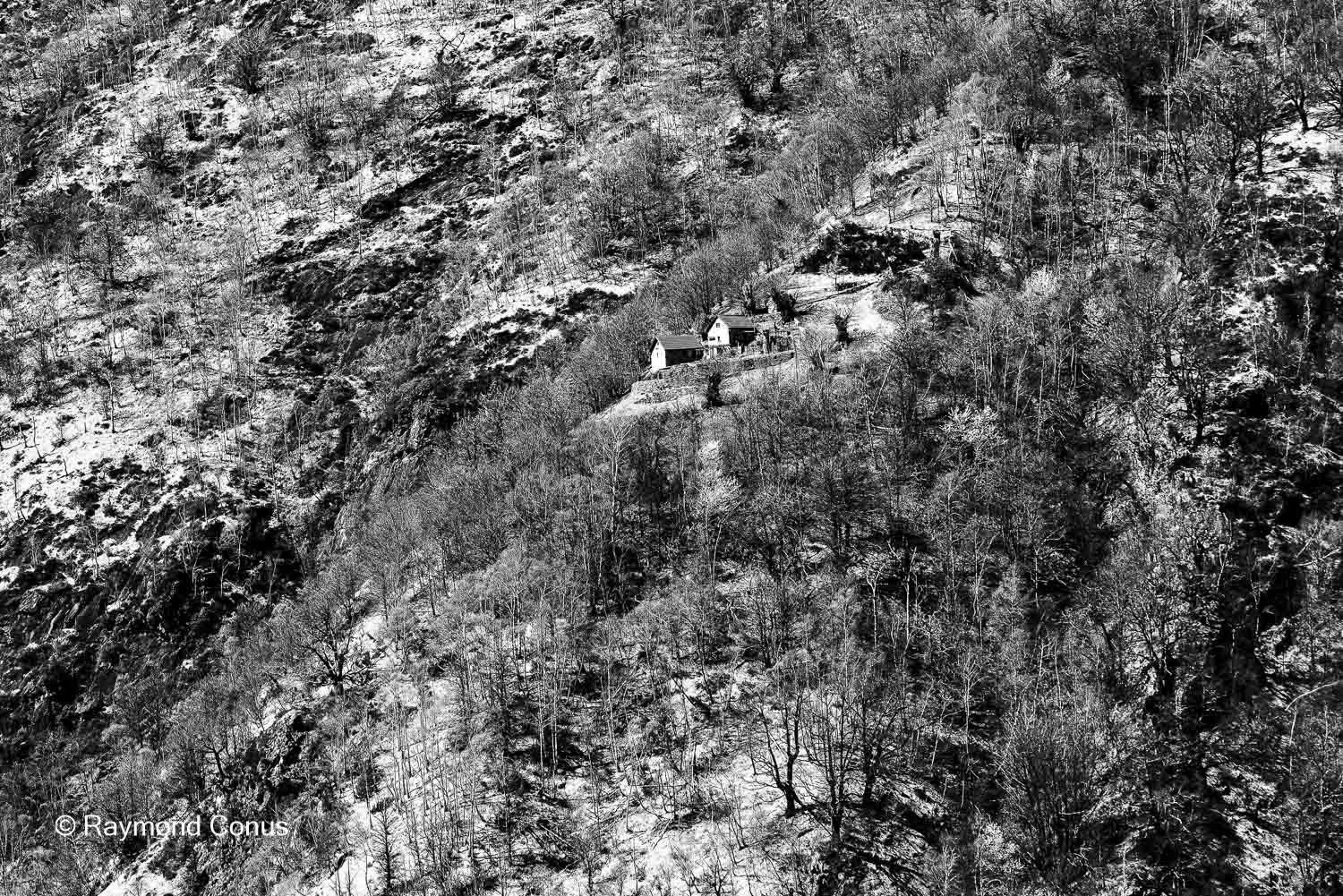 Paysages suisses (206)