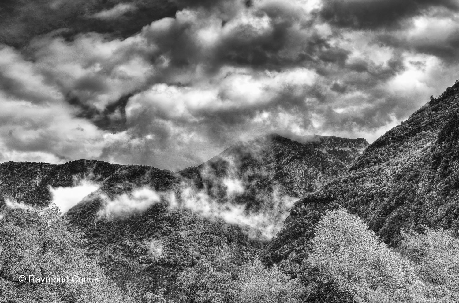 Paysages suisses (209)