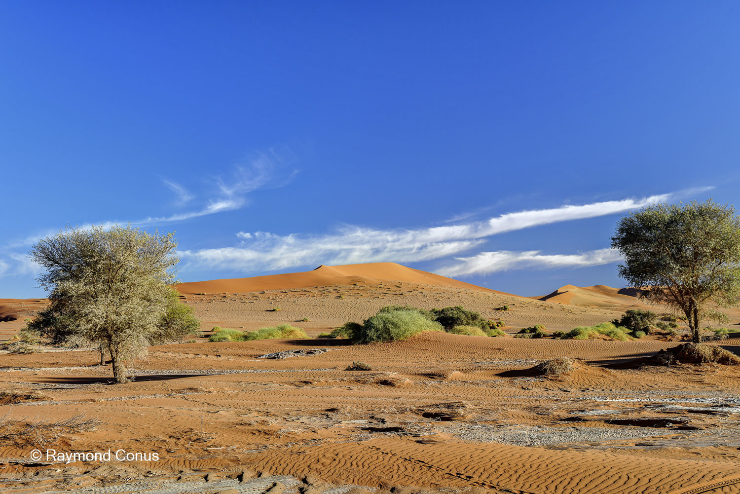 Sossusvlei (23)