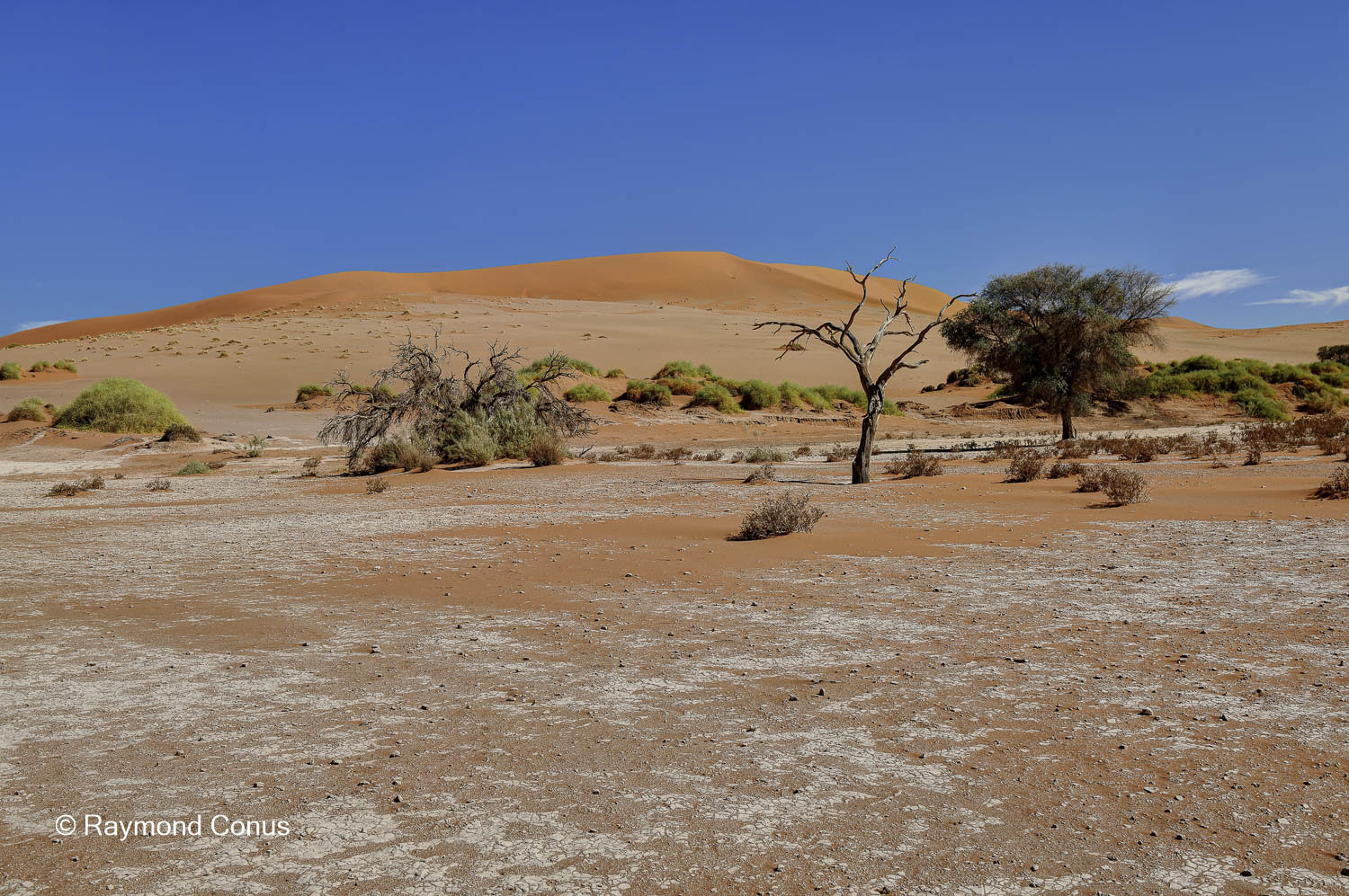 Sossusvlei (25)