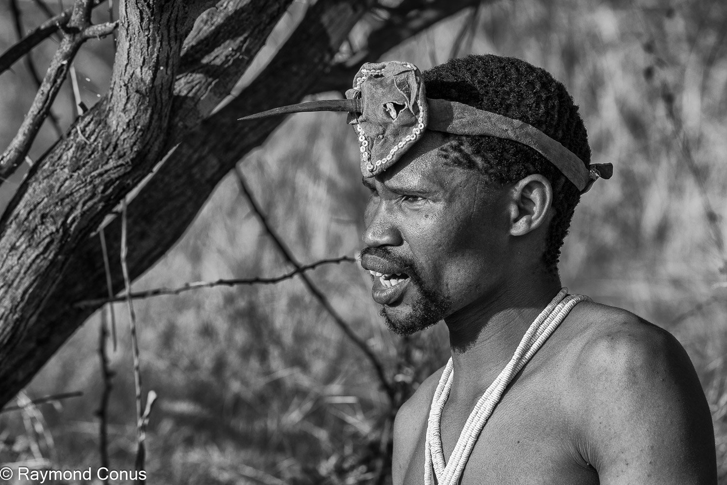 Les Bushmen San (15)