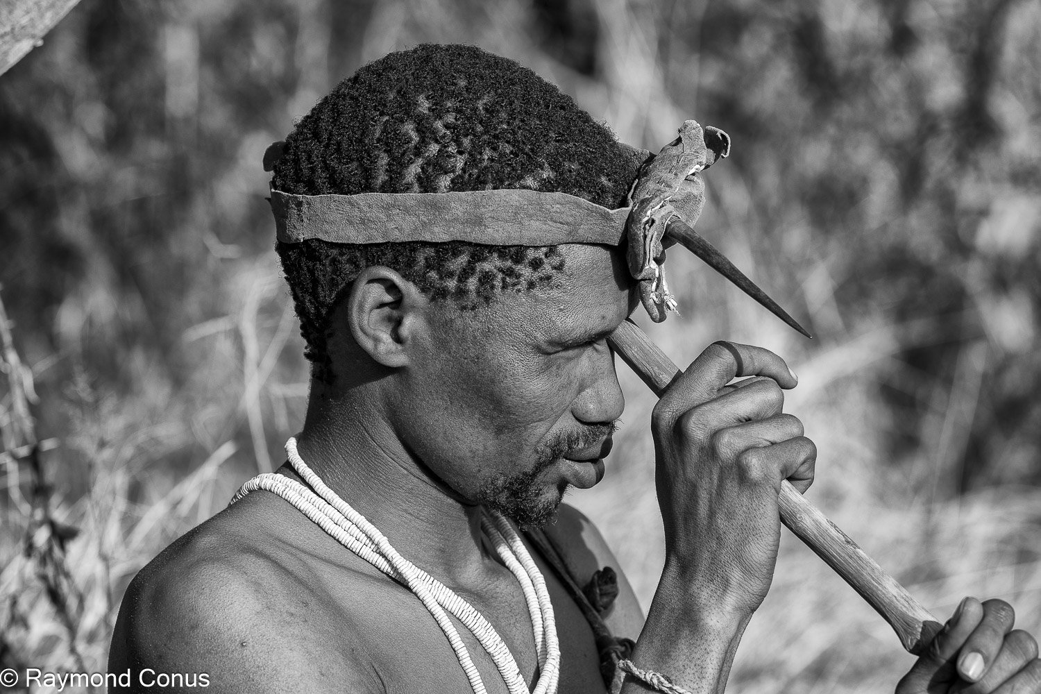 Les Bushmen San (19)
