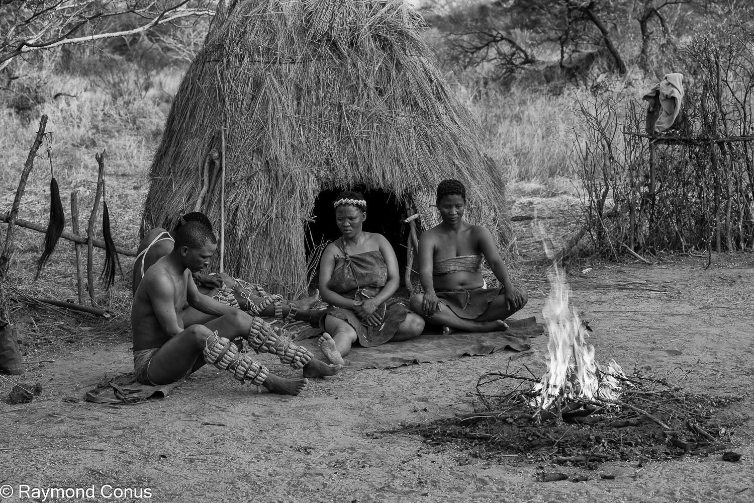 Les Bushmen San (30)