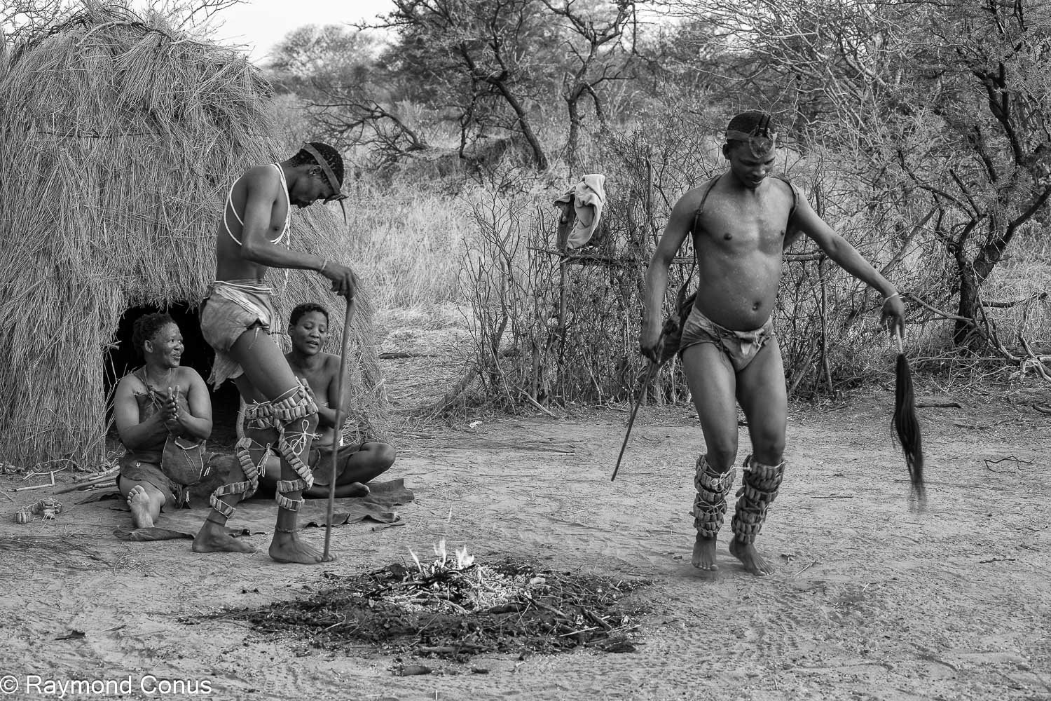 Les Bushmen San (31)