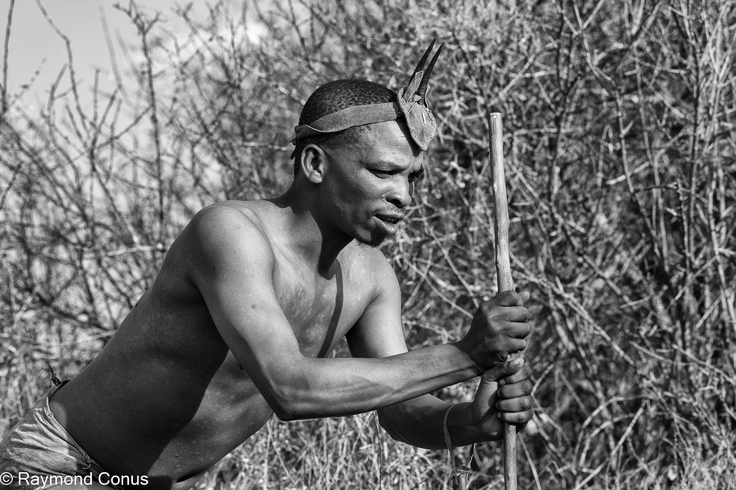 Les Bushmen San (7)