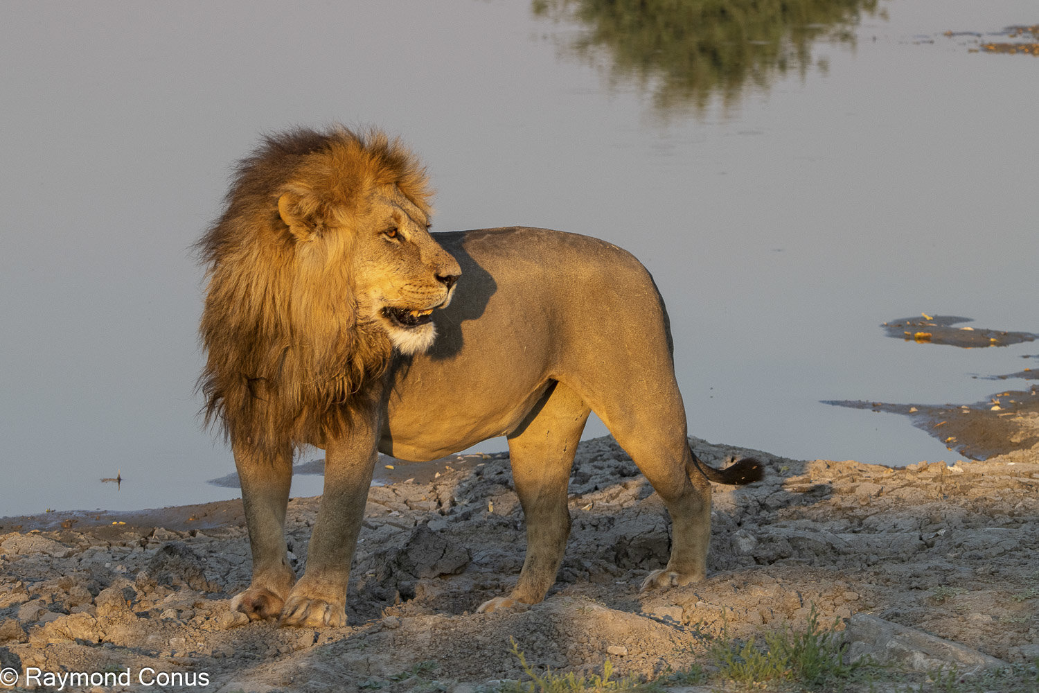 Botswana 2025 (9593)