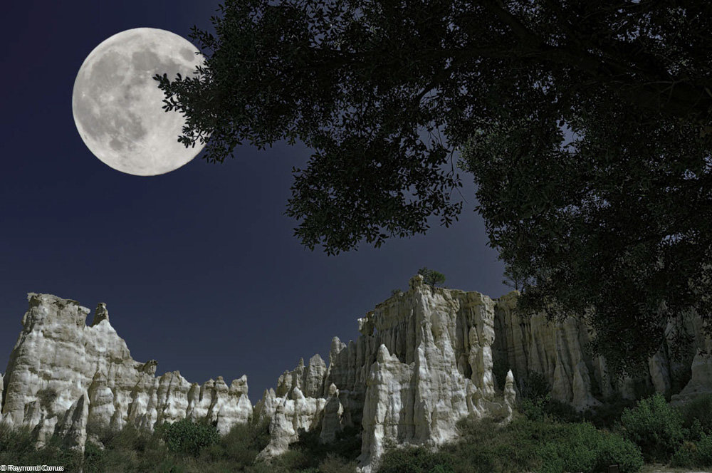 The organs of Ille-sur-Têt under the moon (29)