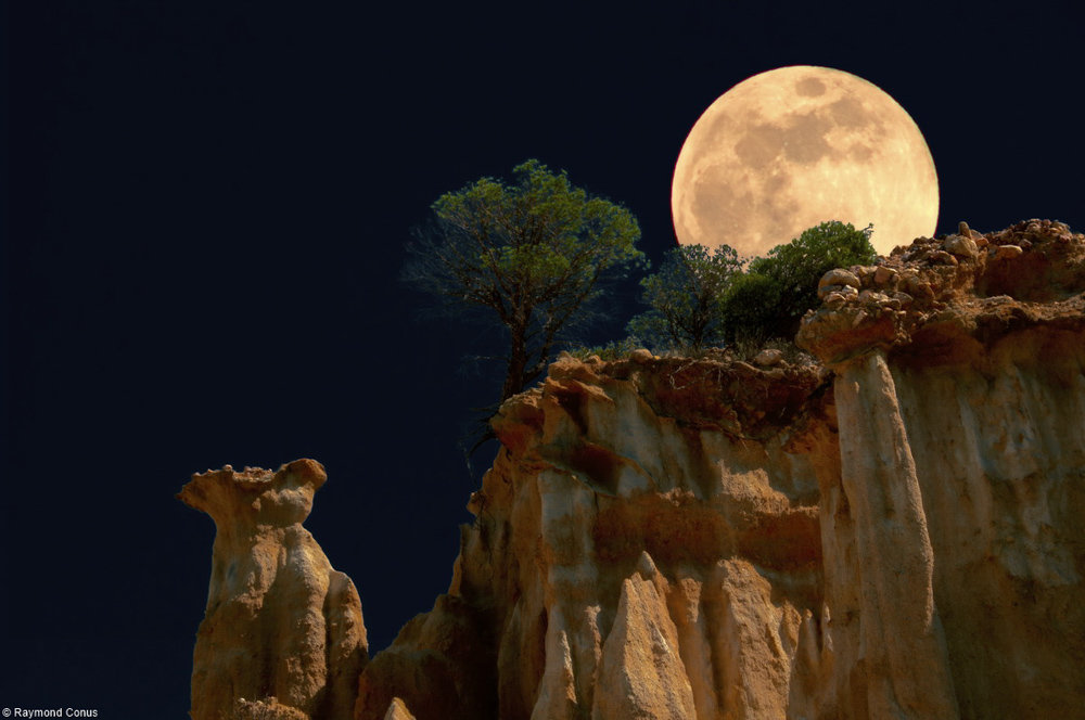 The organs of Ille-sur-Têt under the moon (37)