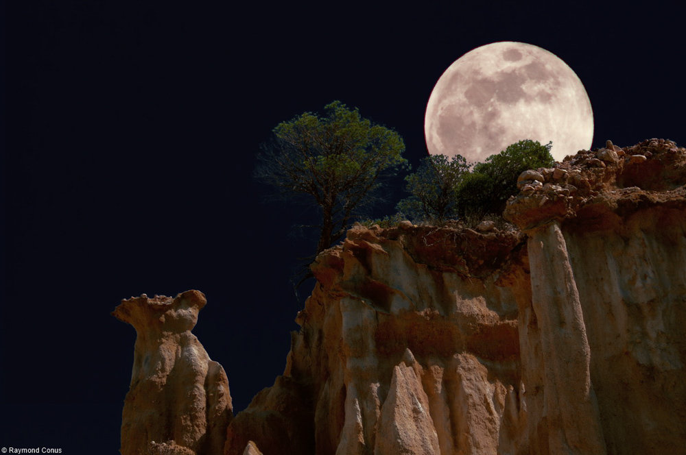 The organs of Ille-sur-Têt under the moon (39)