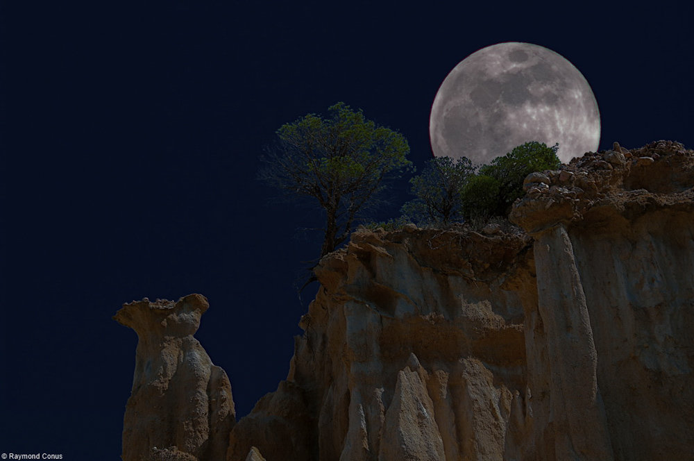 The organs of Ille-sur-Têt under the moon (42)