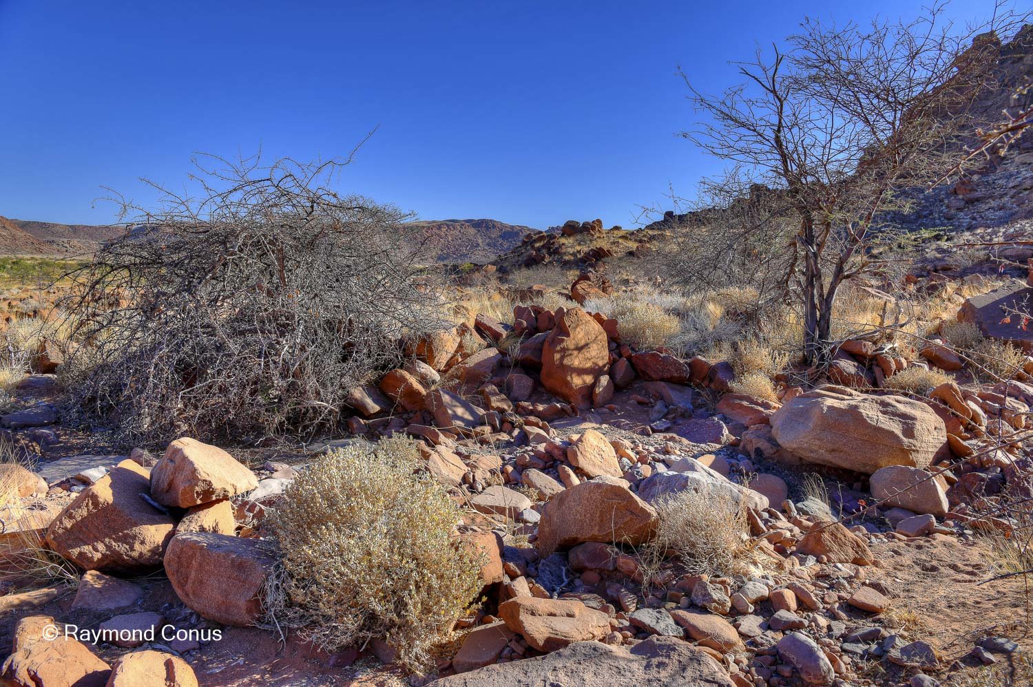 Twyfelfontein (20)