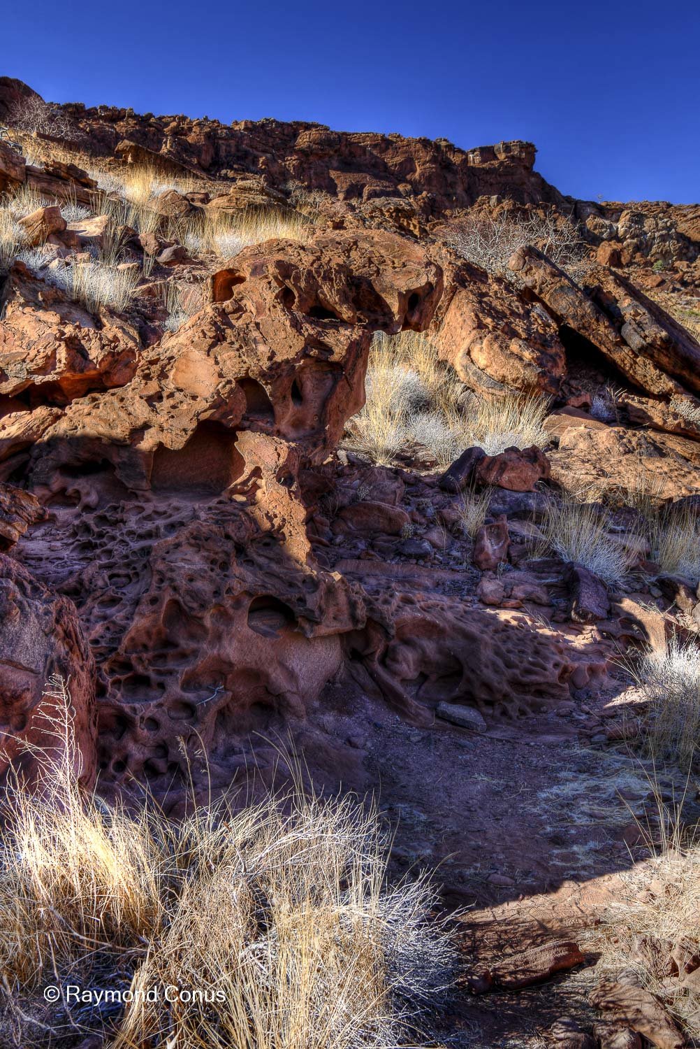 Twyfelfontein (22)