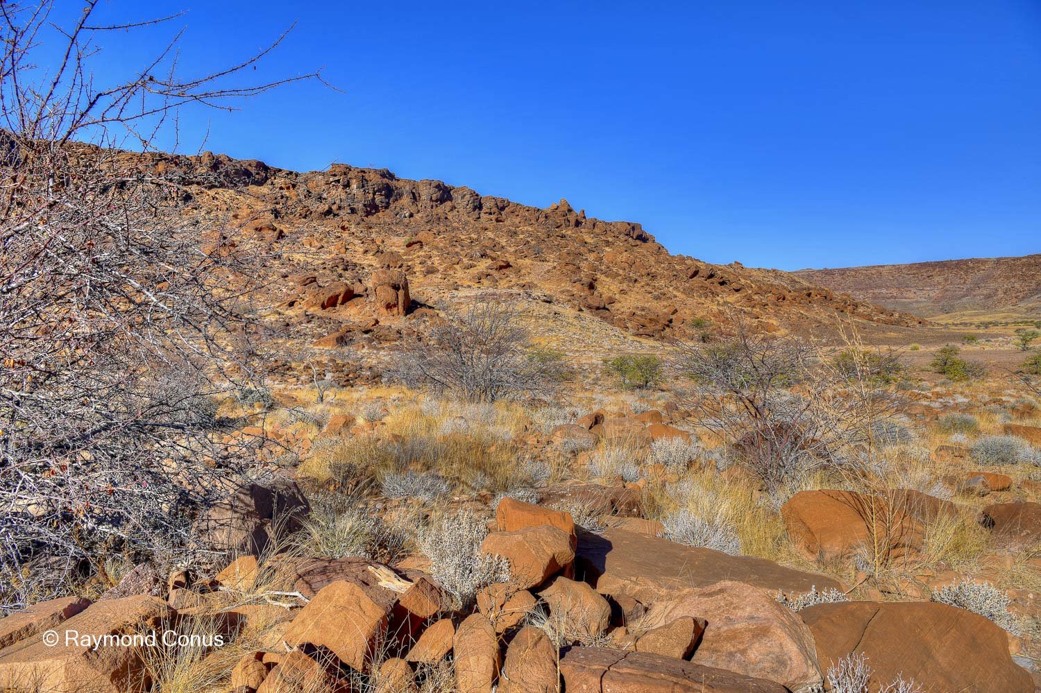 Twyfelfontein (23)