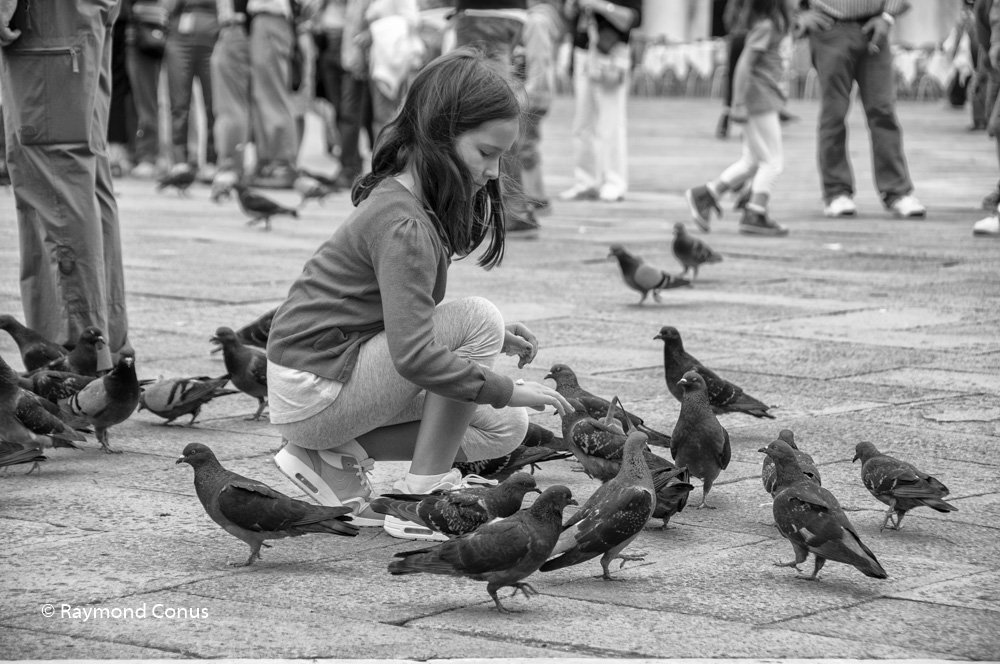 Venice (31)