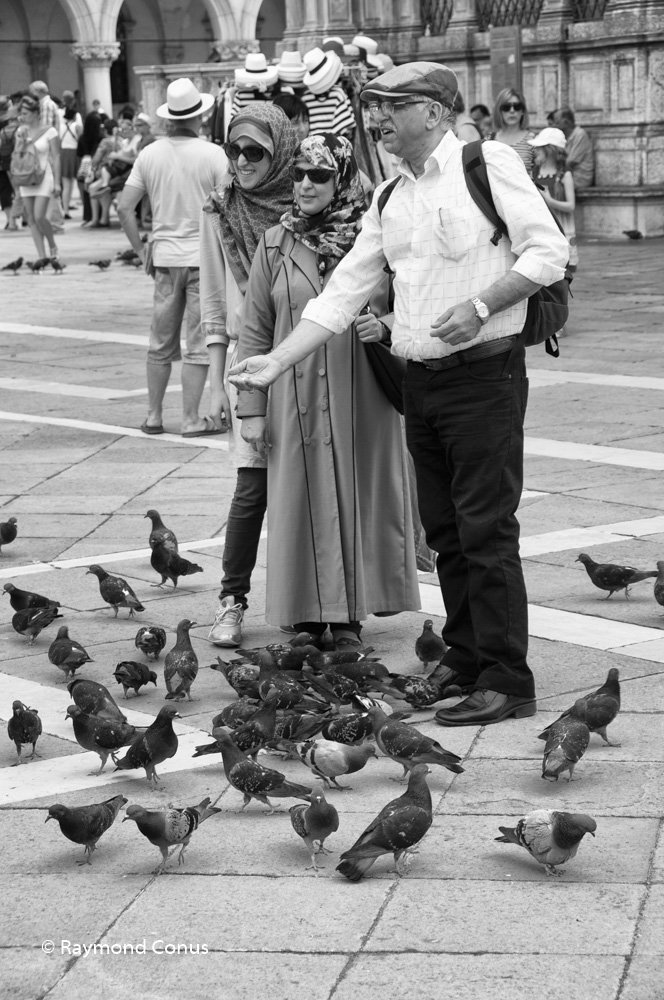 Venice (6)