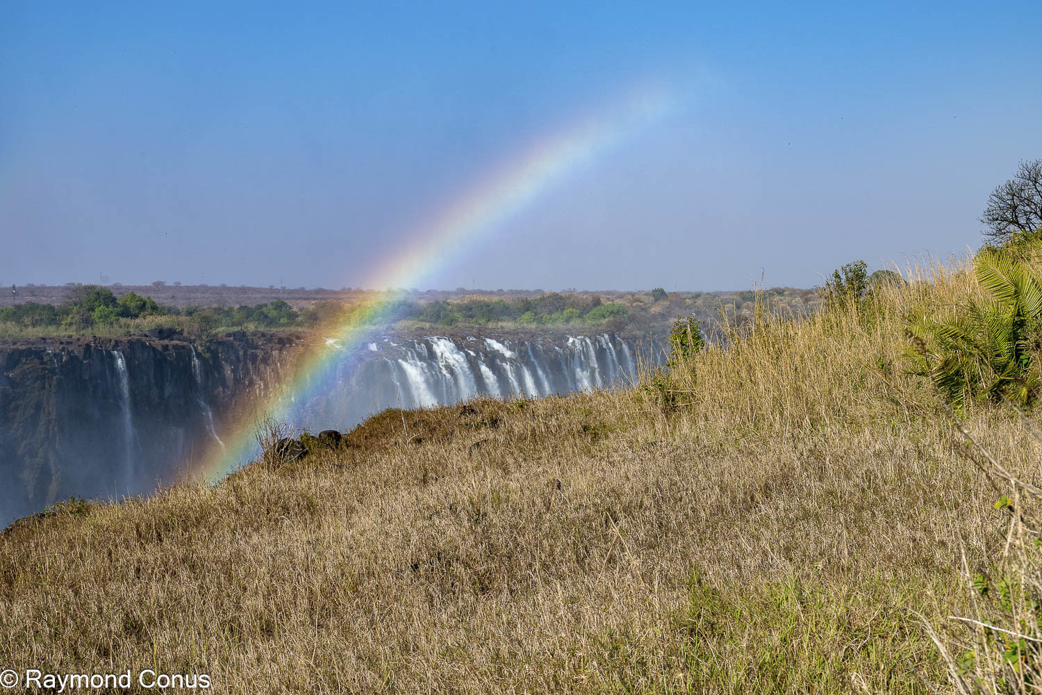 Victoria Falls (47)