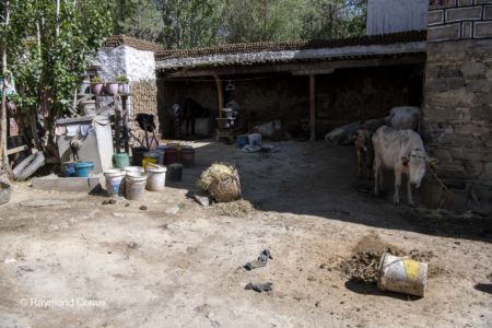 A traditional house (4)