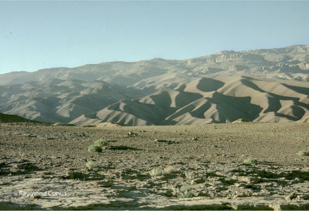 Afghanistan (11)