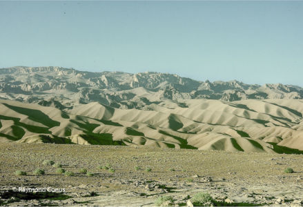 Afghanistan (12)