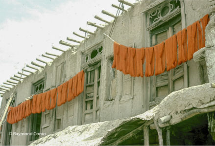Afghanistan (15)
