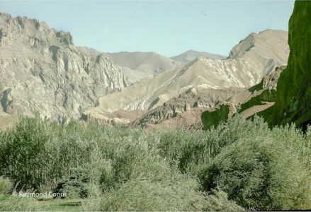 Afghanistan (16)