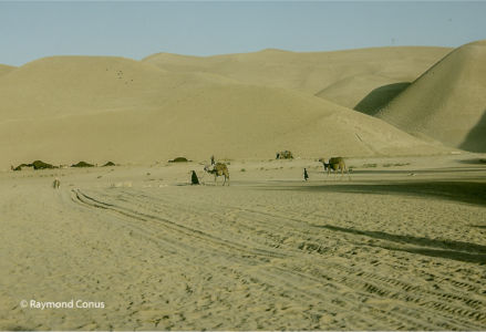 Afghanistan (1)