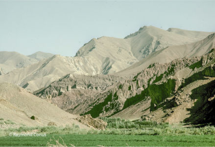 Afghanistan (24)