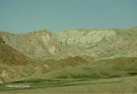 Afghanistan (25)