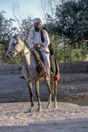 Afghanistan (27)