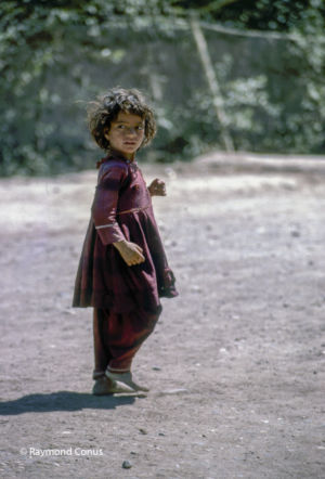 Afghanistan (31)
