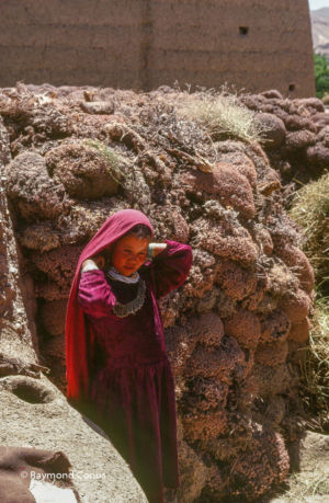 Afghanistan (33)