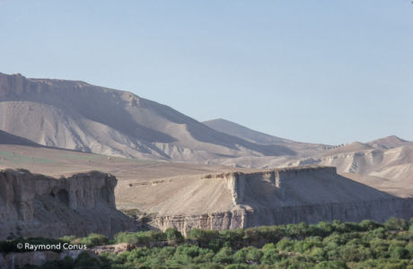 Afghanistan (35)