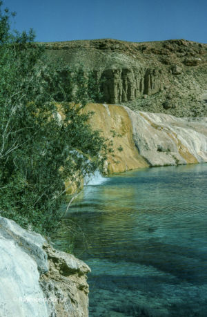 Afghanistan (42)